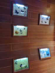 -酷嗒动物文化乐园(cutezoo西溪乐天城店)