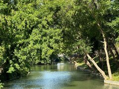 -扬州大运河文化旅游度假区·盆景园