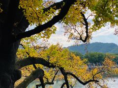 -溪口-滕头旅游景区