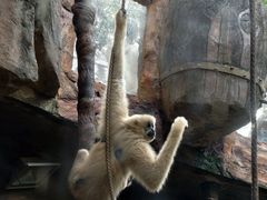 -长鹿旅游休博园
