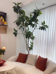 -WENDY·温迪皮肤管理