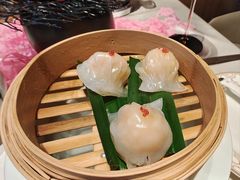 -迦南苑·新派青岛菜·生日纪念日主题餐厅