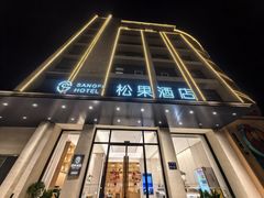 -松果酒店(农业路河南博物院店)