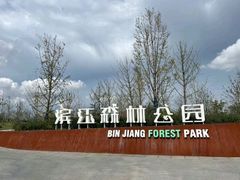 -上海滨江森林公园