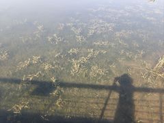 -尚贤河湿地