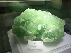 -湖南省地质博物馆