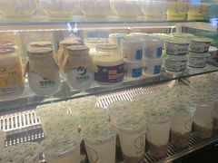 -德禄酸奶(莫家街店)