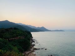 -杨梅坑