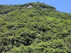 -神龙峡风景区