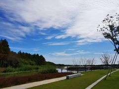 -上海长兴岛郊野公园