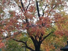 -香山公园-东宫门售票处