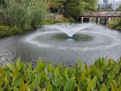 -西北湖绿化广场