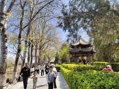 -赵州桥景区