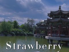 -沁蝶 Butterfly Patisserie甜品蛋糕(北京瑰丽酒店)