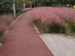 -红星美凯龙国际家居博览中心至尊mall停车场
