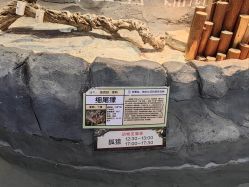 -Zoolung Zoolung动物主题公园(海信广场店)