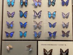 -天津自然博物馆