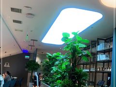 -悦海·家宴·冰花皮皮虾大锅贴(宝龙店)