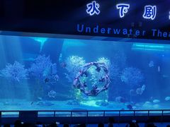 -泉城欧乐堡海洋极地世界