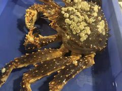 -蟹后Crabber(水悦城店)