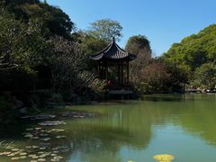 -云溪植物园