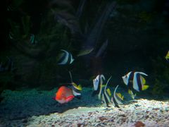 -大连圣亚海洋世界