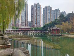 -温江公园