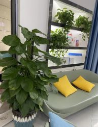 -蕾特恩专业祛痘·皮肤管理