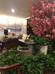 -至爱至信新中式SPA疗愈会所