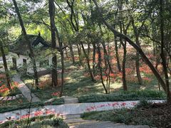 -采石矶景区