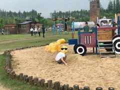 -上海长兴岛郊野公园