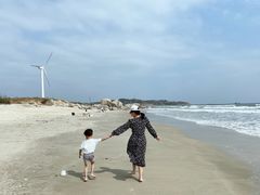 -汕尾风车岛