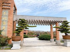 -上海海湾国家森林公园