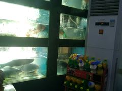 -全乐鱼馆·淳牌有机鱼直营店