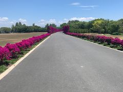 -大理洱海