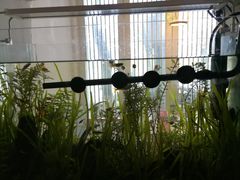-茶庐(百花洲路店)