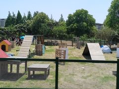 -田园东方蜜桃村的田野营地