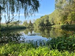 -溱湖国家湿地公园