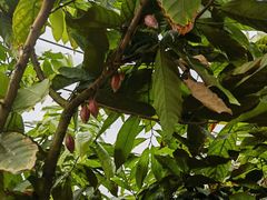 -歌斐颂巧克力小镇