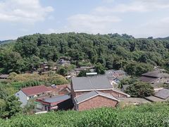 -龙井村
