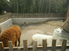 -兰陵国家农业公园