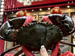 -喜记避风塘炒辣蟹(旗舰店)