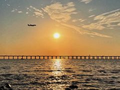 -宝安西湾红树林湿地公园