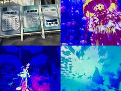 -南戴河国际娱乐中心