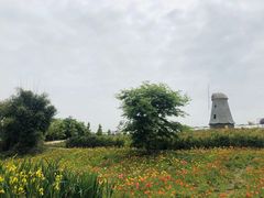 -都江堰玫瑰花溪谷