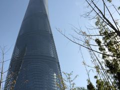 -上海中心大厦
