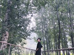 -白河湾生态旅游一条川