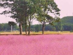 -汉长安城未央宫国家考古遗址公园