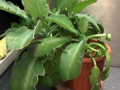 -7天酒店·广州天河东店