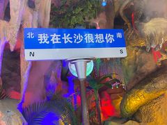 -黄兴南路步行商业街